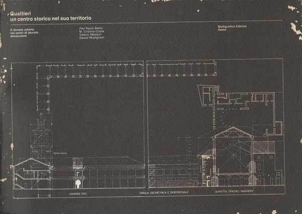 Gualtieri: un centro storico nel suo territorio