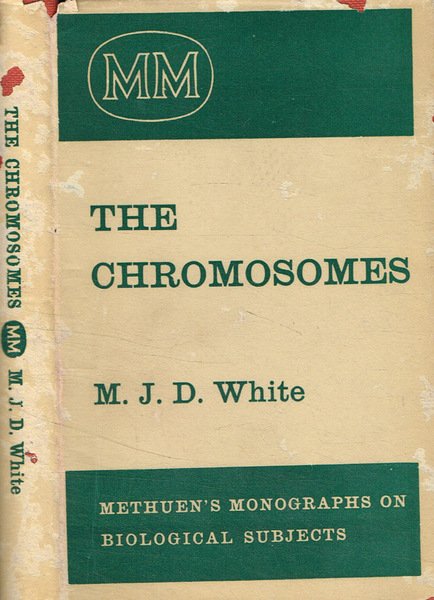 The chromosomes