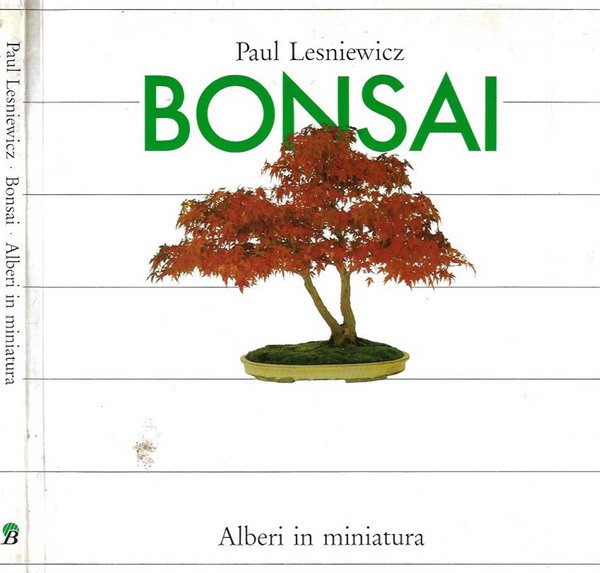 Bonsai Alberi in miniatura