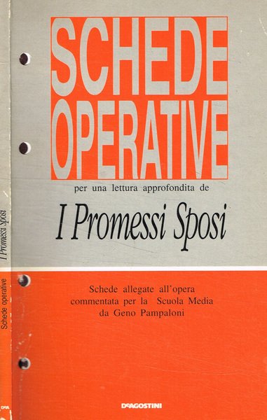 Schede operative per una lettura approfondita de i promessi sposi