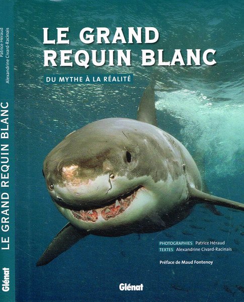 Le grand requin blanc. Du mythe à la réalité