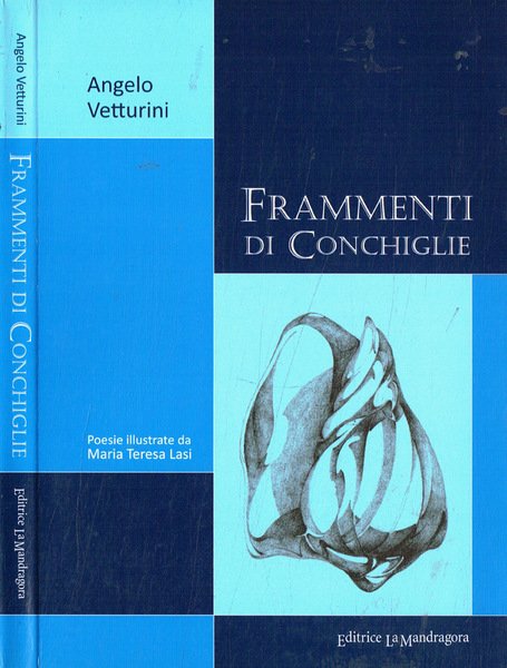 Frammenti di conchiglie