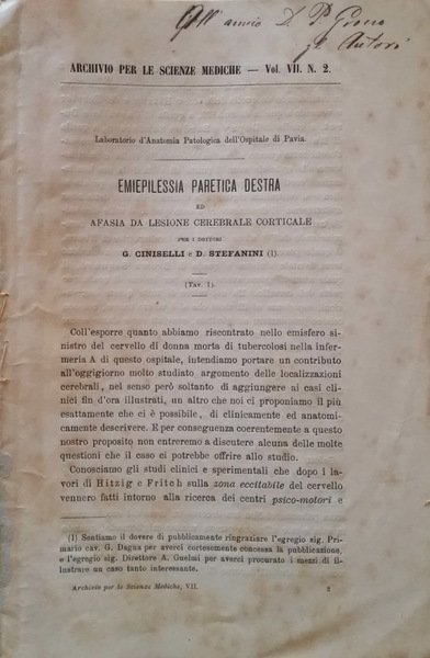 Emiepilessia paretica destra ed afasia da lesione cerebrale corticale | Immagine principale