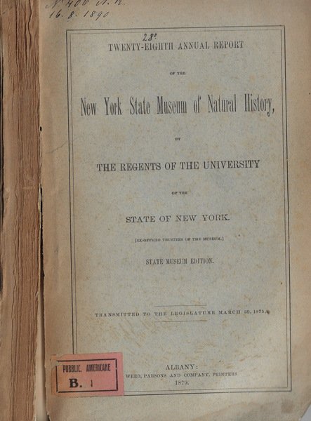 Twenty-eighth annual report on the New York State Museum of … | Immagine principale