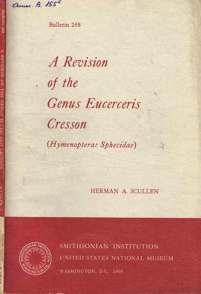 A revision of the genus eucerceris cresson (hymenoptera: sphecidae) | Immagine principale