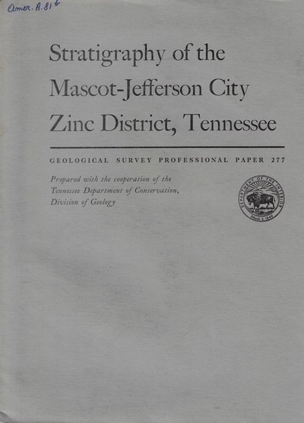 Stratigraphy of the Mascot-Jefferson City Zinc District, Tennessee