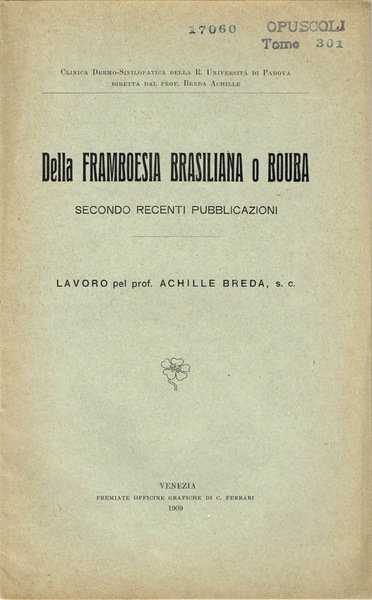 Della Framboesia Brasiliana o Bouba