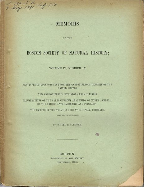 New Types of Cockroaches from the Carboniferous Deposits of the … | Immagine Gallery 1