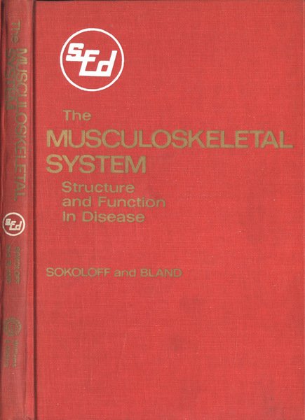 The musculoskeletal system