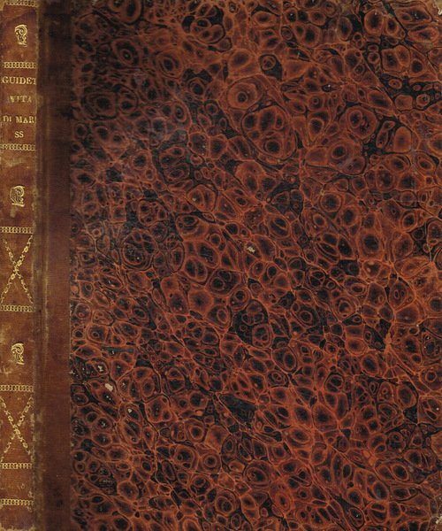 Breve compendio della vita di Maria Santissima