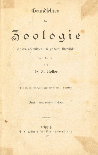Grundlehren der zoologie
