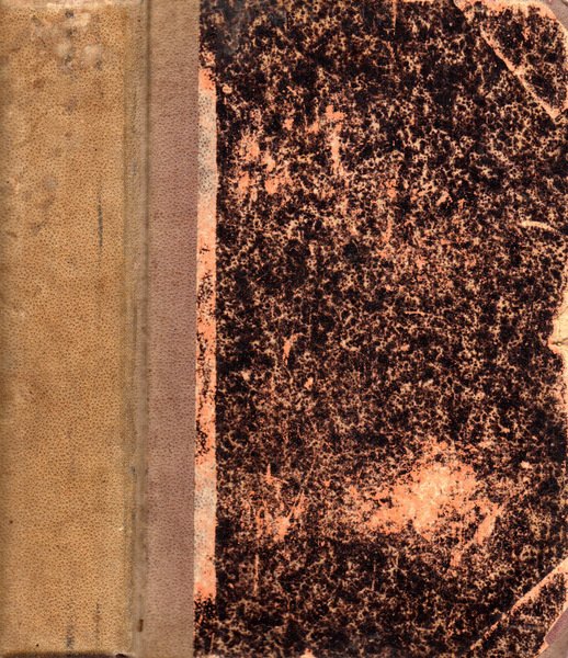 Buon Senso e Buon Cuore