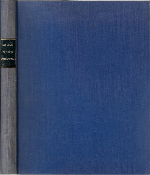 Istituzioni di diritto internazionale