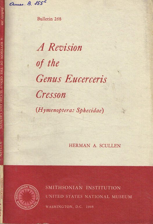 A revision of the genus eucerceris cresson (hymenoptera: sphecidae) | Immagine Gallery 2