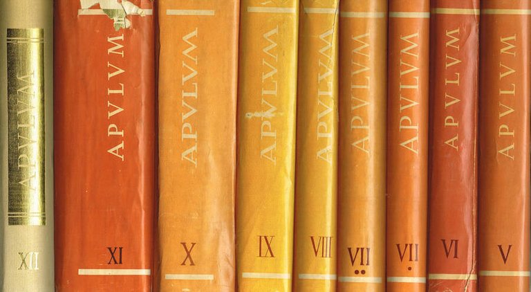 APULUM VOL.V VI VII/1 VII/2 VII IX X XI XII