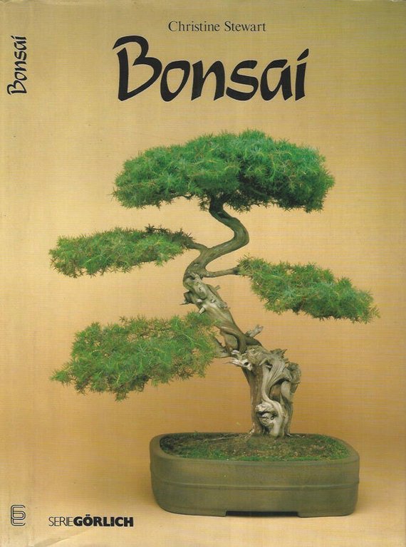 Bonsai | Immagine Gallery 2