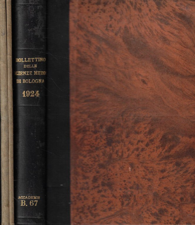 Bullettino delle Scienze Mediche Anno 1924 | Immagine Gallery 2