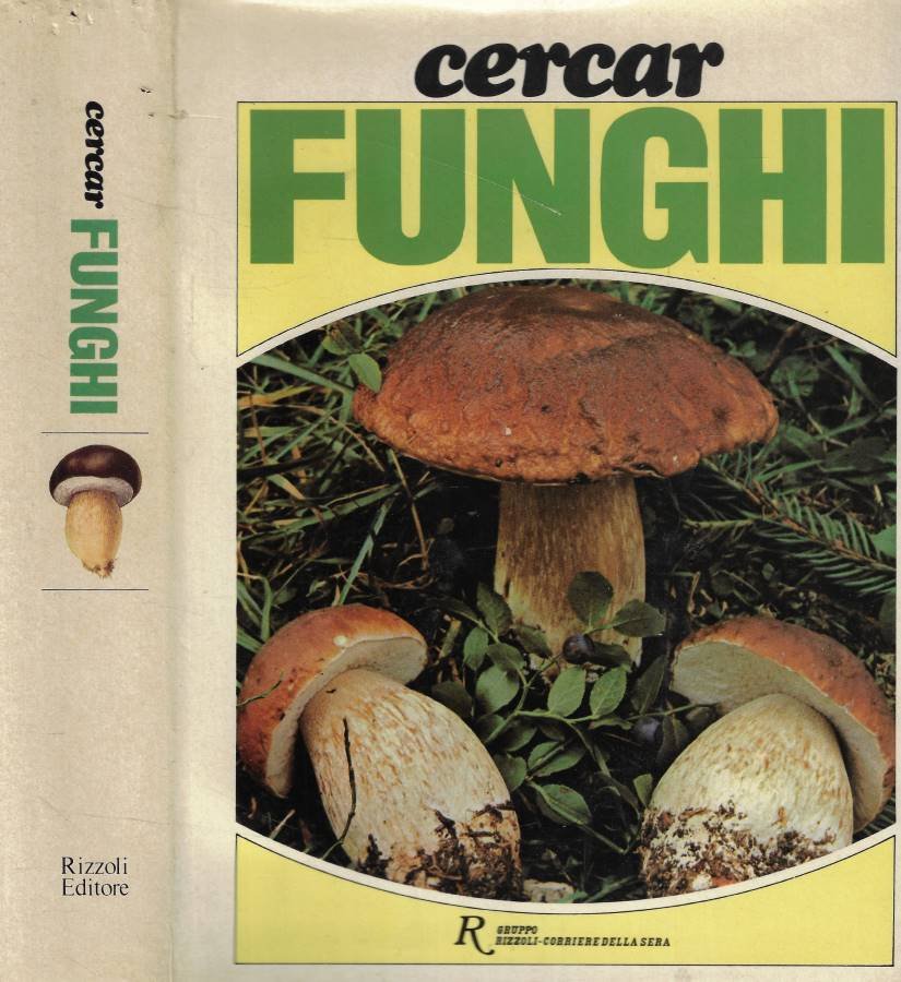 Cercar funghi | Immagine principale
