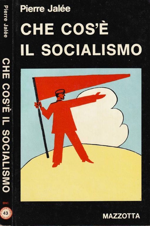 Che cos'è il socialismo