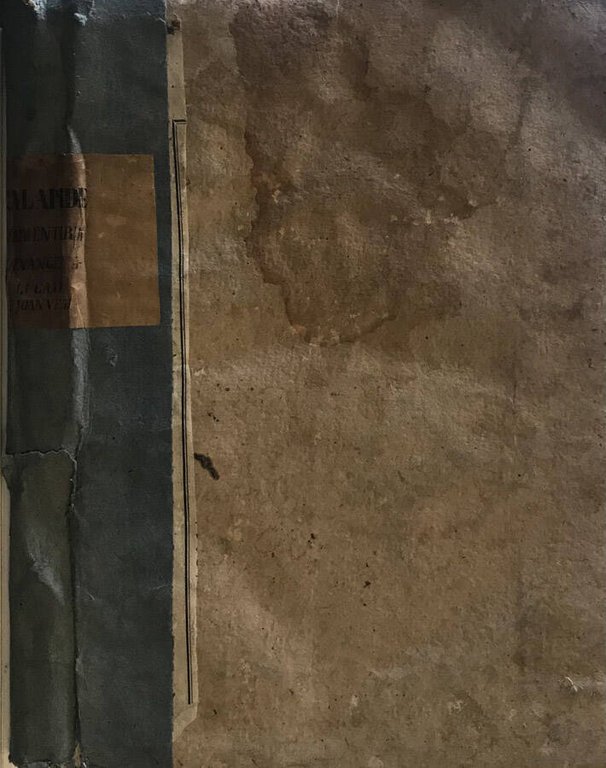 Commentarius In Quatuor Euangelia