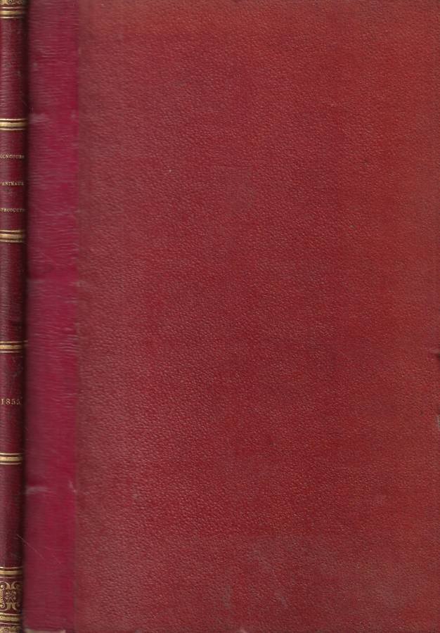 Concours Universel agricole d'animaux reproducteurs, francais et etrangers, males et … | Immagine principale