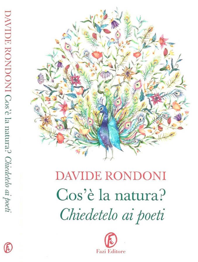 Cos'è la natura? Chiedetelo ai poeti | Immagine principale