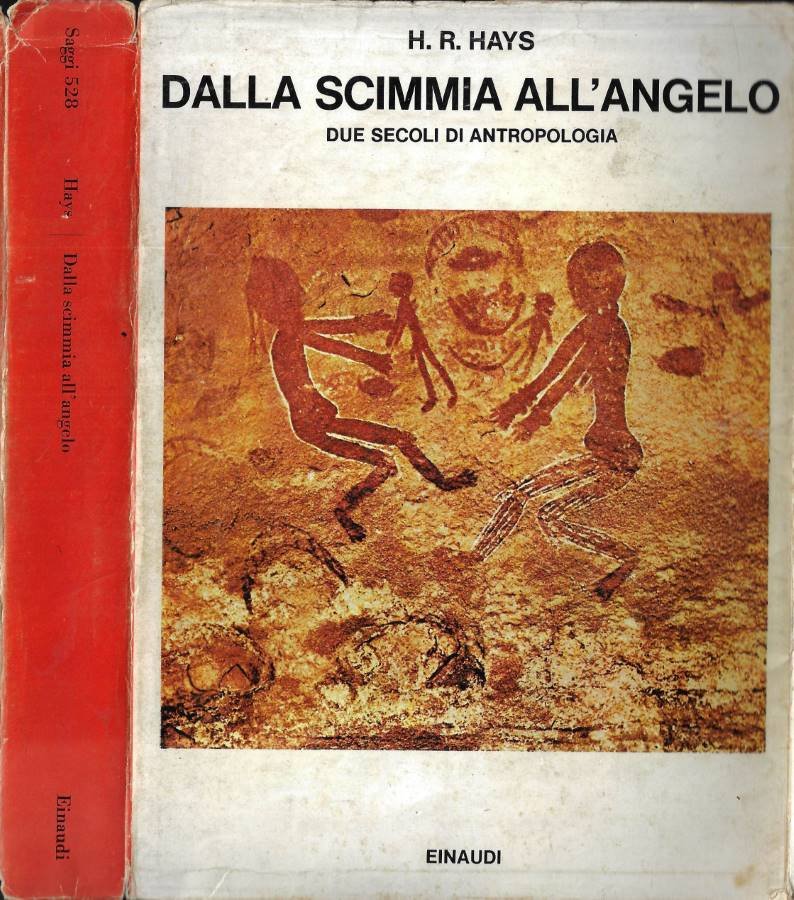 Dalla scimmia all' angelo