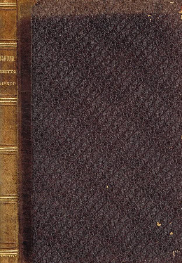 Del diritto di proprietà