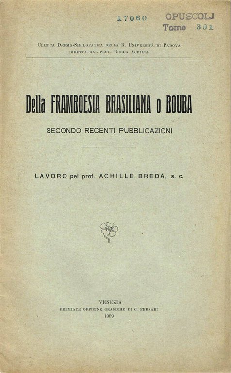 Della Framboesia Brasiliana o Bouba