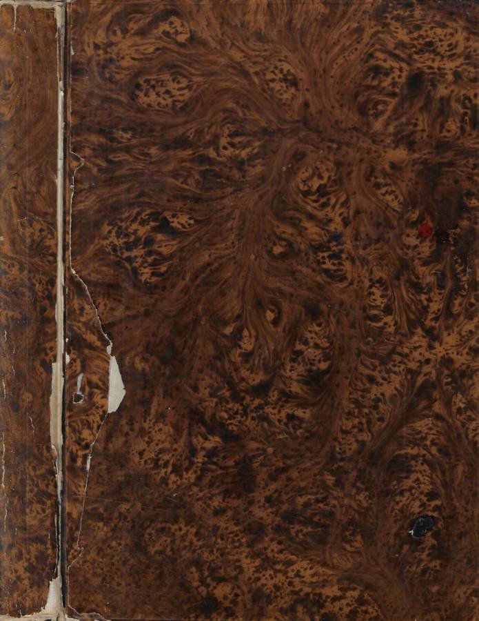 Deutsches Familienbuch zur Belehrung und Unterhaltung Vol. 1