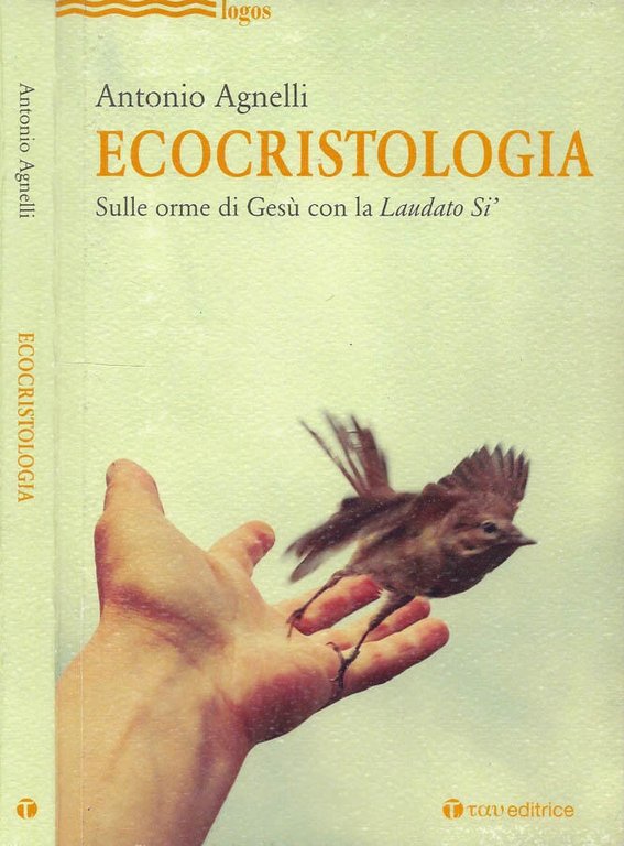 Ecocristologia
