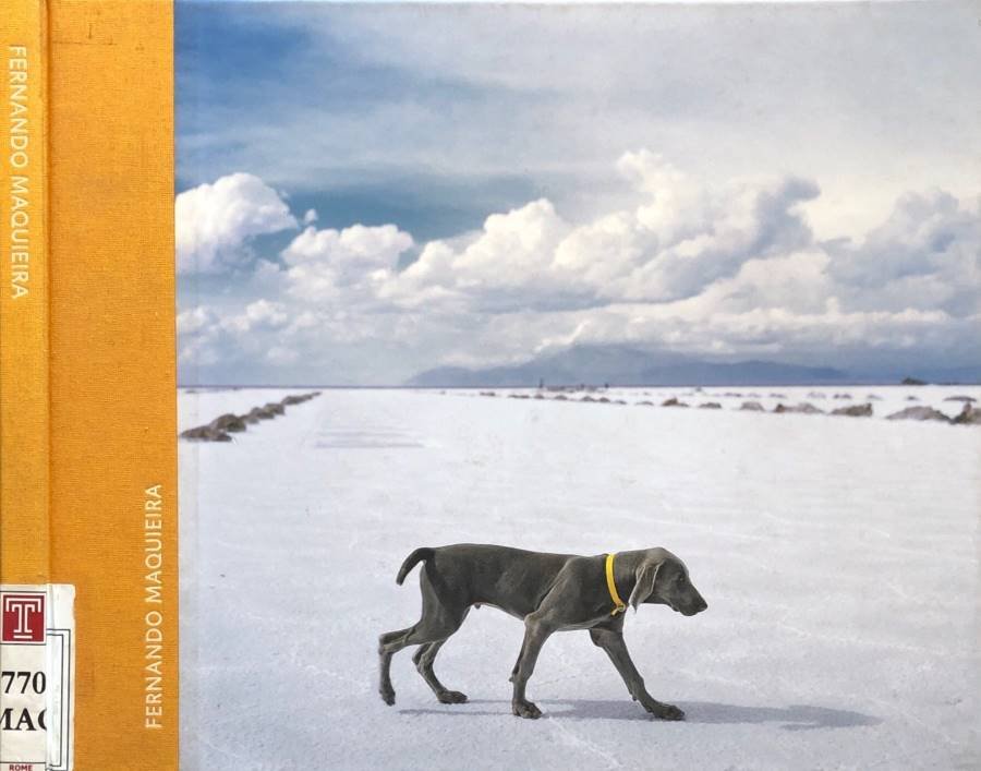 Fernando Maquieira | Immagine principale