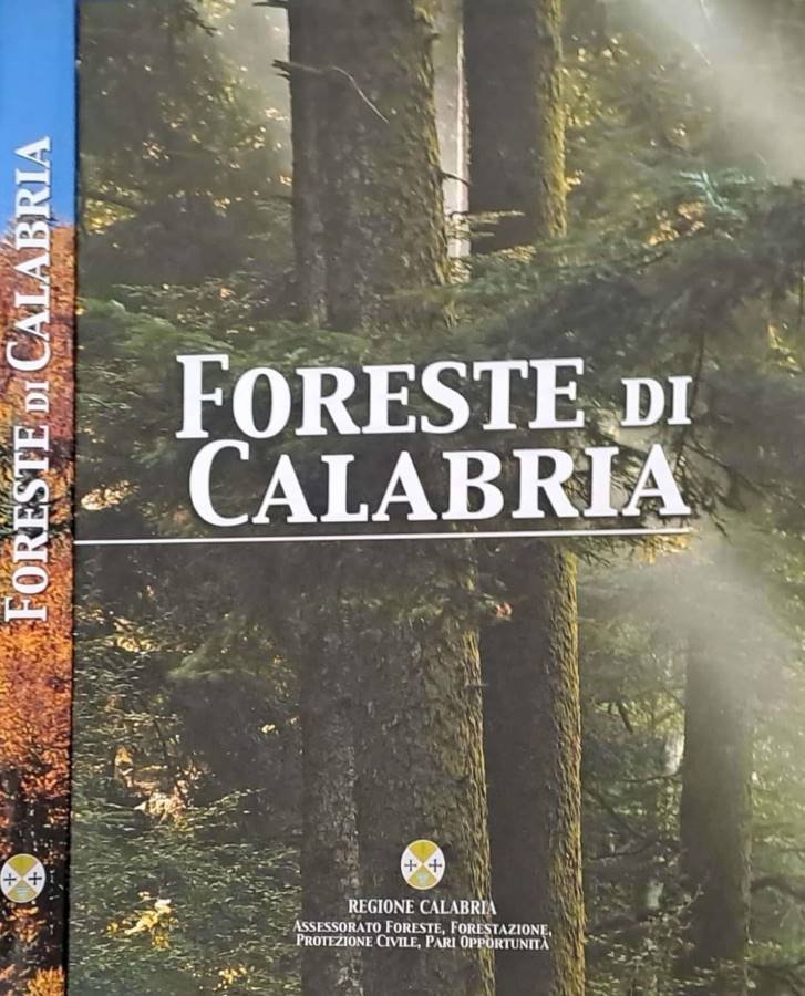 Foreste di Calabria