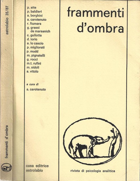 Frammenti d' ombra
