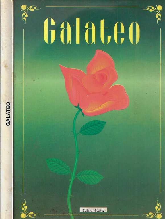 Galateo | Immagine Gallery 3