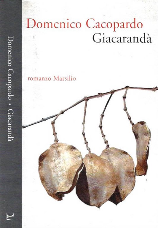 Giacarandà | Immagine Gallery 2