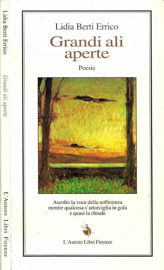 Grandi ali aperte | Immagine principale