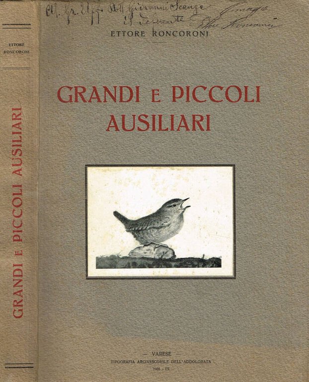 GRANDI E PICCOLI AUSILIARI
