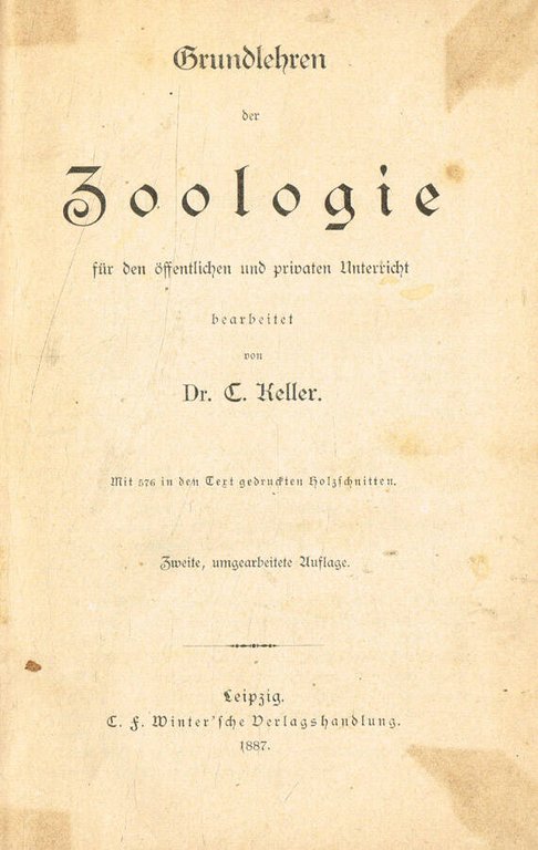 Grundlehren der zoologie