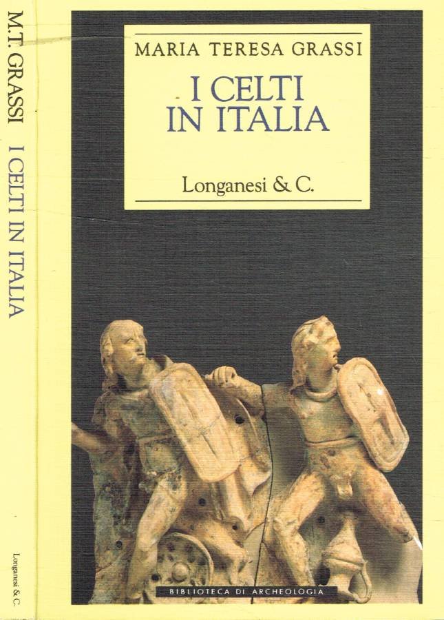 I Celti in Italia | Immagine principale