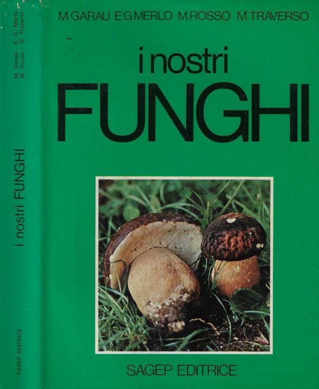 I nostri funghi | Immagine Gallery 2