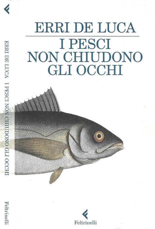 I pesci non chiudono gli occhi | Immagine Gallery 2