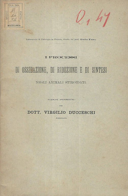 I processi di ossidazione, di riduzione e di sintesi negli …