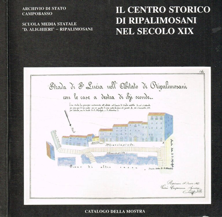 Il centro storico di Ripalimosani nel secolo XIX. Aspetti socio-urbanistici …