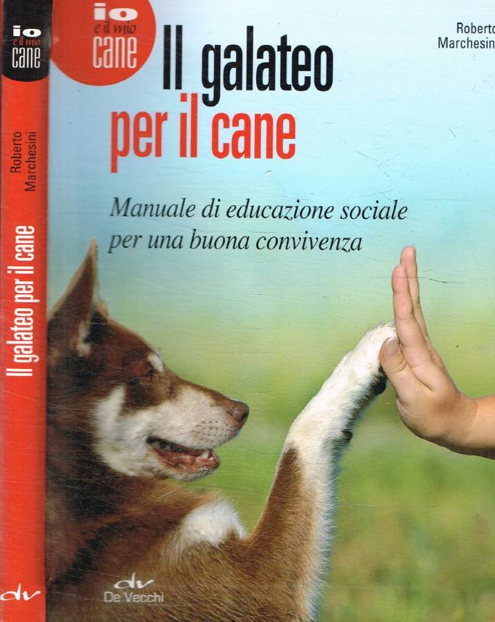 Il galateo per il cane