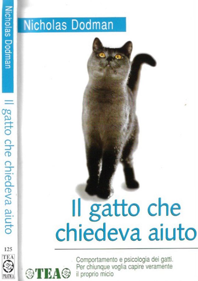 Il gatto che chiedeva aiuto | Immagine principale