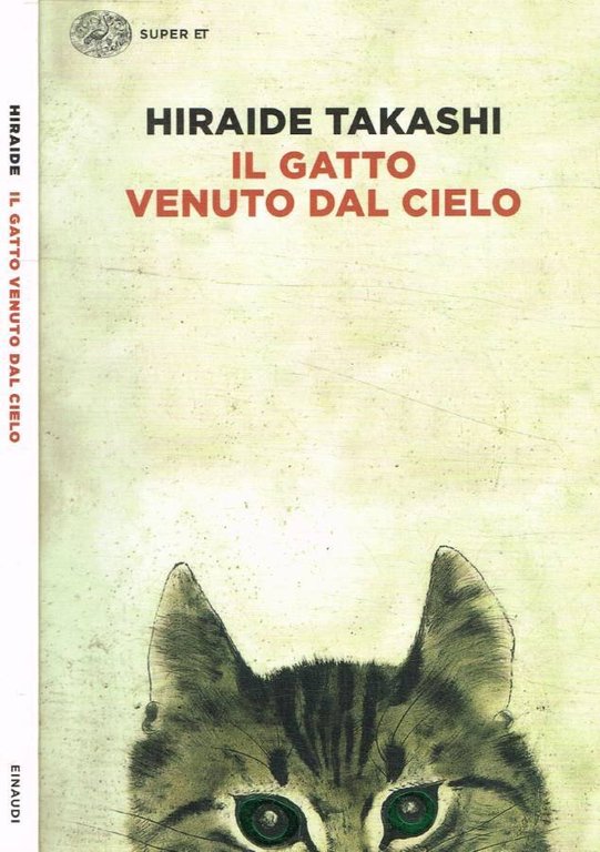 Il gatto venuto dal cielo