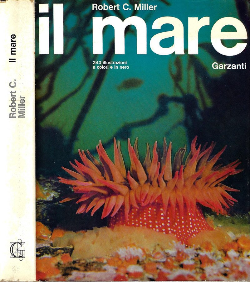 Il mare | Immagine principale