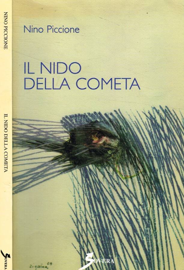 Il nido della cometa