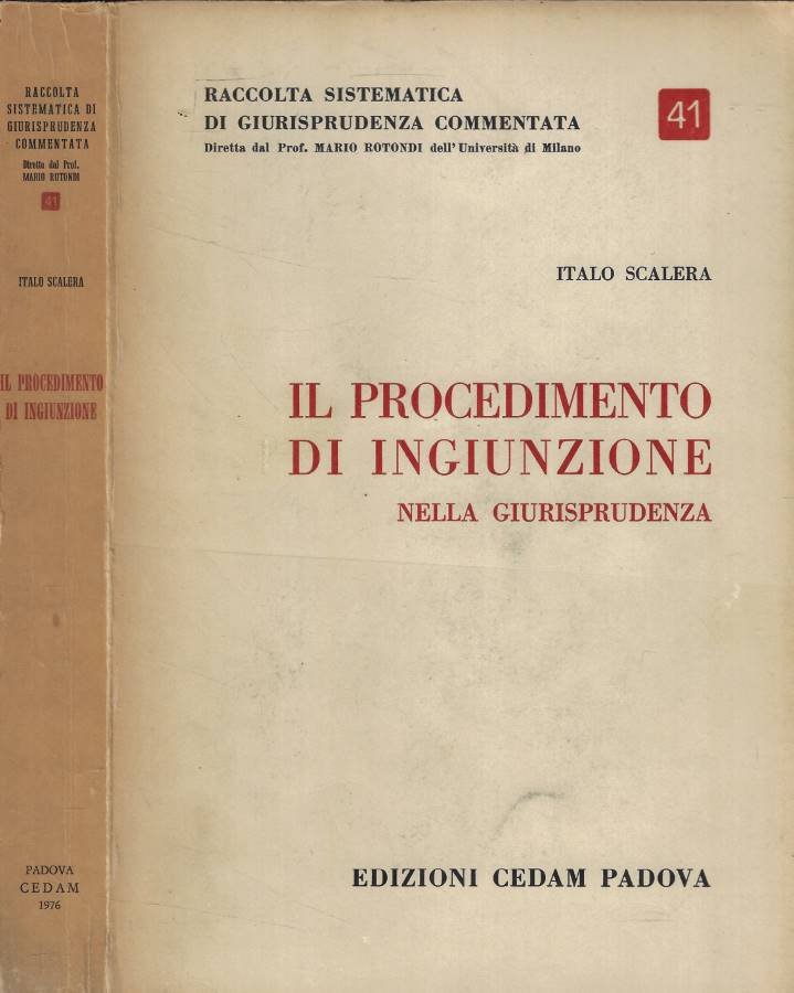 Il procedimento di ingiunzione nella giurisprudenza
